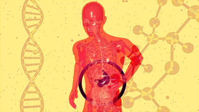 **Mikrobiota jelitowa dzieci z celiakią: Czy dieta bezglutenowa wystarcza do przywrócenia równowagi?** - 1 2025