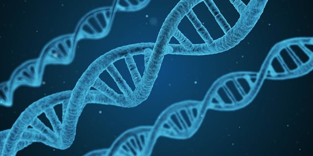 ** Mikrobiologiczna analiza "Cloud Bread": Jak szybko rozwijają się bakterie i pleśnie? - 7 2025