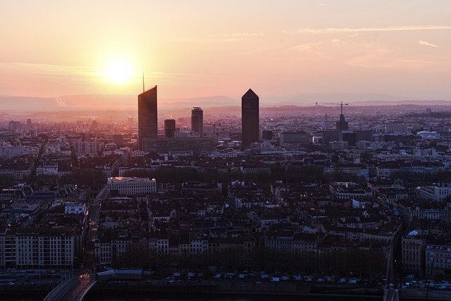 **Czy Lyon stanie się wegańską stolicą Francji? Analiza trendów i opinii ekspertów na temat przyszłości wege street foodu w Mieście Lwa.** - 1 2025