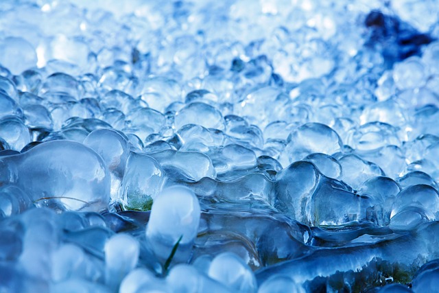 **"Zamrażarka Twoim Sprzymierzeńcem Zero Waste: Jak unikać 'spalenia mrozem' i maksymalnie wykorzystać mrożone zapasy?"** - 7 2025