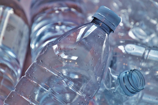 Kuchnia zero waste na Instagramie: Jak jedzenie staje się sztuką recyklingu