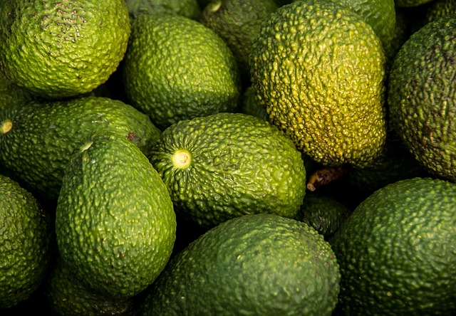 **”Zapomniane skarby polskiej spiżarni: Jak wykorzystać dziko rosnące superfoods w walce z zespołem jelita drażliwego (IBS)?”**